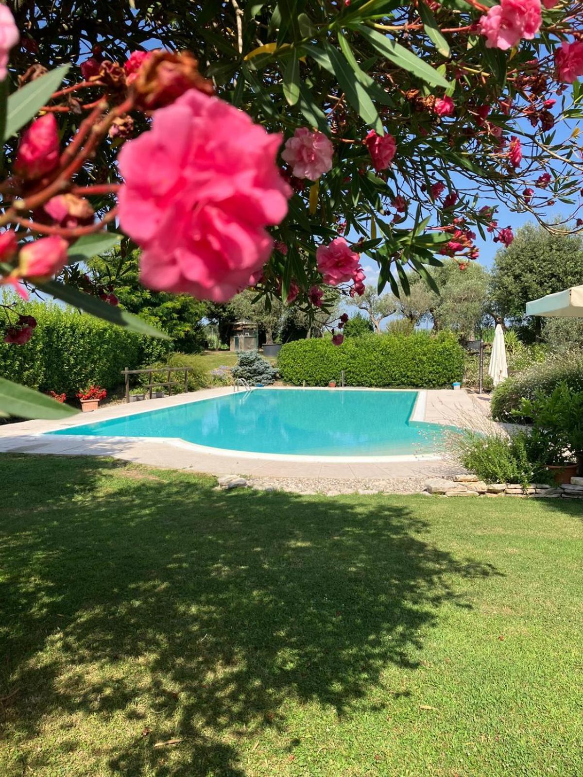Agriturismo" Il Glicine Bianco" Monzambano Εξωτερικό φωτογραφία