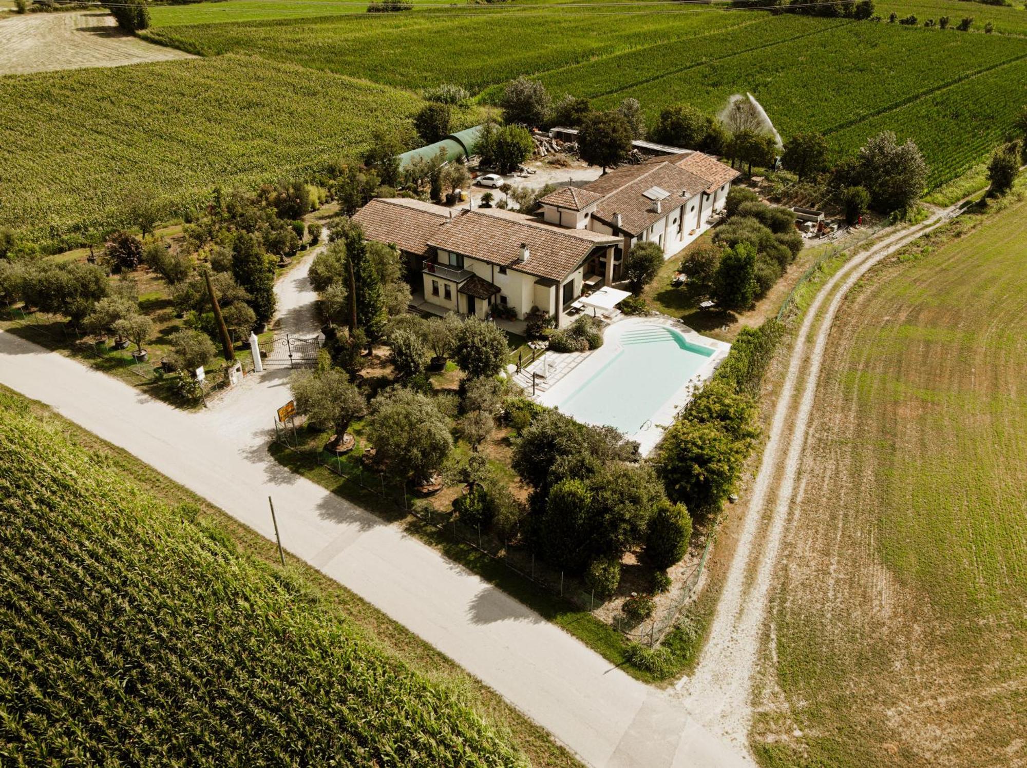 Agriturismo" Il Glicine Bianco" Monzambano Εξωτερικό φωτογραφία