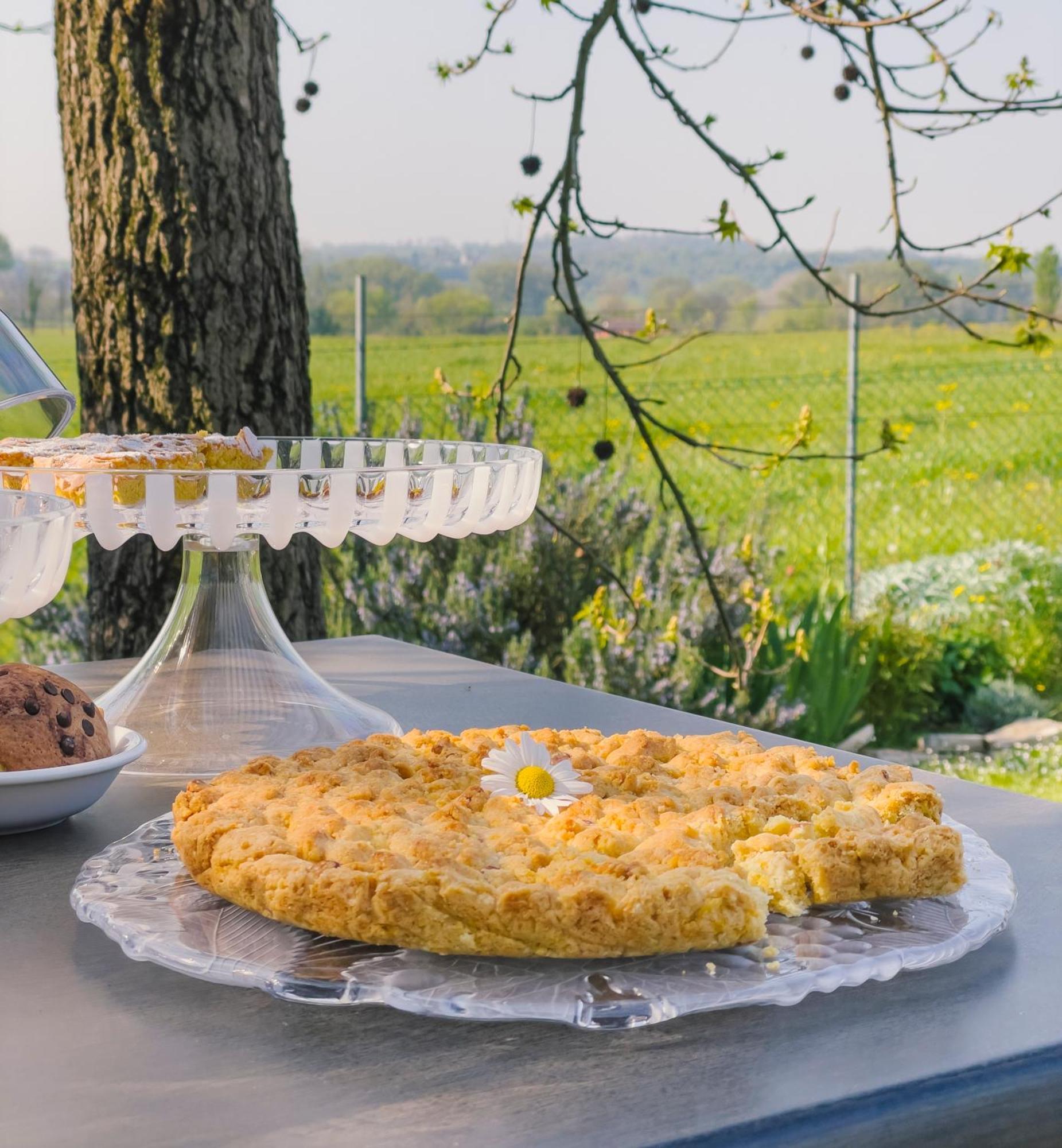 Agriturismo" Il Glicine Bianco" Monzambano Εξωτερικό φωτογραφία