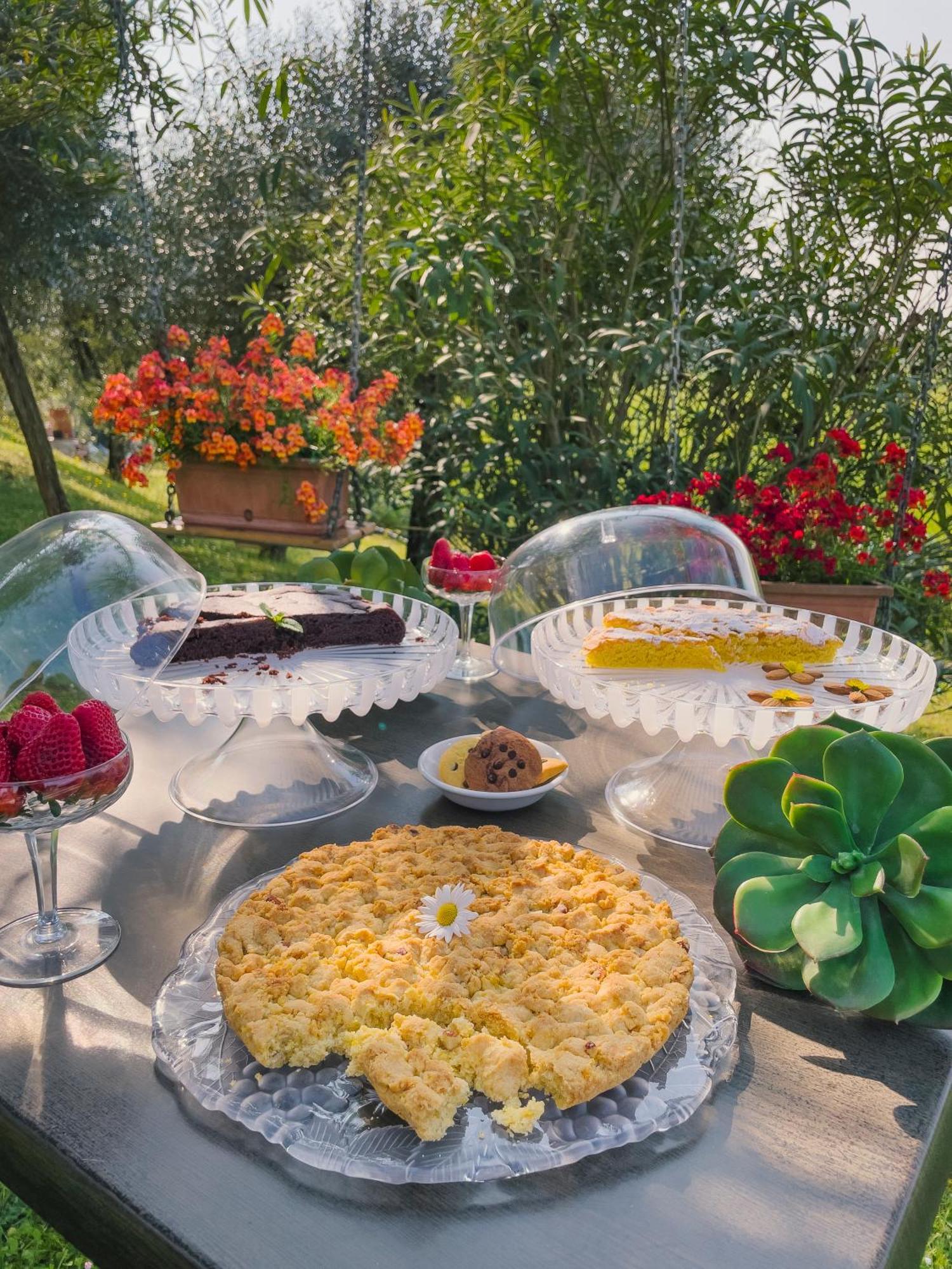 Agriturismo" Il Glicine Bianco" Monzambano Εξωτερικό φωτογραφία